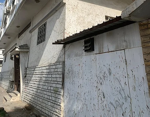 بالصور.. خفافيش "نخب الطائف" ترعب السكان وتضرُّ المساكن والمركبات