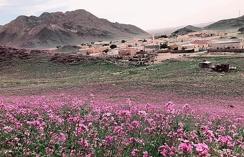 القصيم.. أهالي "دارة ضرية" يناشدون استكمال الخدمات في قريتهم