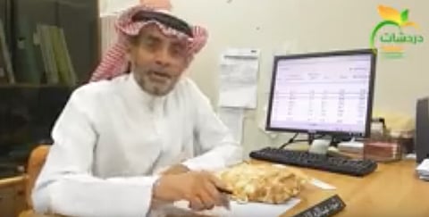 أستاذ أغذية: "خبز التميس" بريء من زيادة السعرات الحرارية