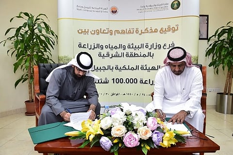 زراعة 100 ألف شجرة على طريق (الجبيل ـ رأس الخير)