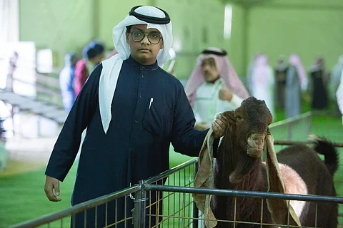 شاهد أصغر مُرَبٍّ لـ"الماعز الحجازي".. بدأ في سن العاشرة ويمتلك 39 رأساً من سلالة نادرة