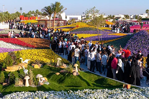 شاهد.. إقبال كثيف من الزوار على "مهرجان الزهور بينبع الصناعية"
