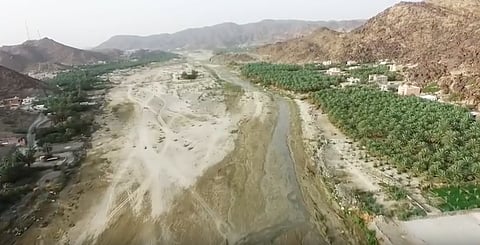 بين "جبل وسهل".. ما لا تعرفه عن "وادي ترج" في هذا الفيلم الوثائقي