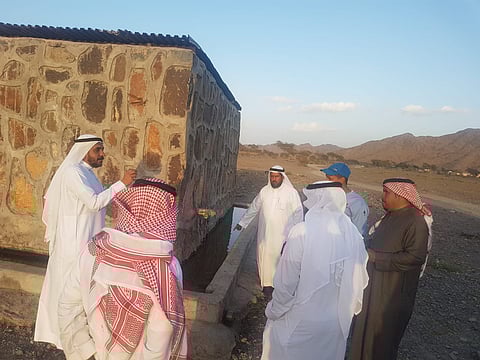 الجديد "إنفلونزا الخيل" .. لجنة تتحقّق من "حادثة نفوق حمير ريم" بالمدينة