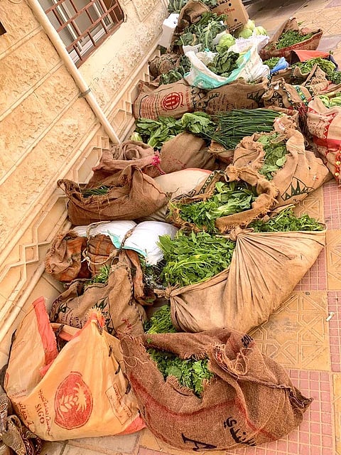 "بلدية القريات" تغلق 3 مطاعم وتصادر خضروات ومواد غذائية غير صالحة