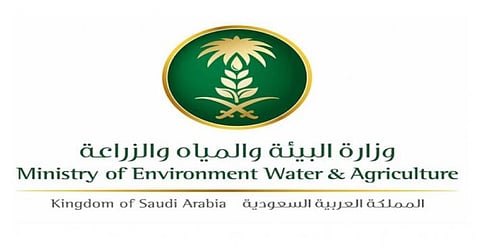 "البيئة" تكافح الجراد الصحراوي في مساحة 75500 هكتار