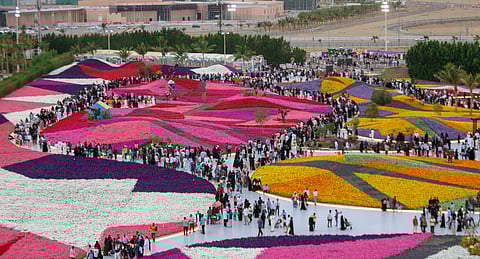 شاهد.. "ينبع الصناعية" تسدل الستار على النسخة 13 من "مهرجان الزهور"