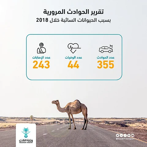 الحيوانات السائبة تقتل وتصيب 287 شخصًا في السعودية في عام 2018