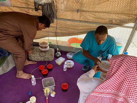 عسير بلا عسل مغشوش .. لجنة من جهات عدة تفحص مناحل بيشة