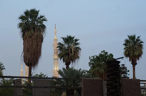 "سقيفة بني ساعدة" شاهد على مبايعة أول خليفة.. وهكذا أصبحت حديقة غناء