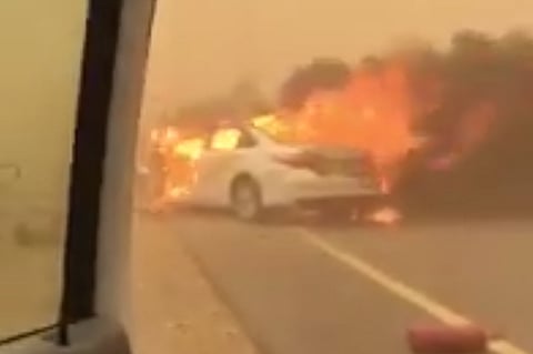 بالفيديو.. تصادم عنيف يتسبب في احتراق مركبة على طريق الدرب- بيش