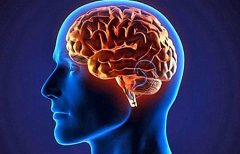 هذه المهنة تسبّب تقلُّصاً في حجم الدماغ وتؤثر سلباً في عملياته الفسيولوجية