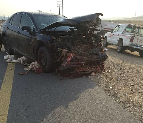 شاهد .. قطيع من الأغنام تتناثر أشلاؤه على طريق "هدى الشام"