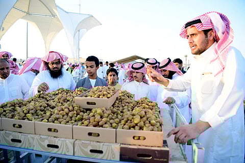 شاهد.. انطلاق حركة البيع والشراء بـ"مزاد عنيزة للتمور" والمحافظ يتفقد