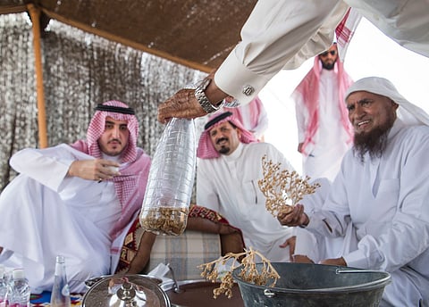 شاهد .. أمير الجوف يتابع مراحل استخراج نبتة "السمح" بطبرجل