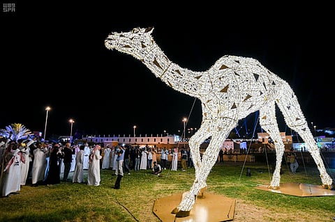 الطائف .. إسدال الستار عن أكبر مجسم للهجن بالعالم يتم تسجيله بـ "جينيس"