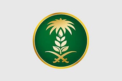 موسم التكاثر الشتوي للجراد في جازان .. البيئة تستعد