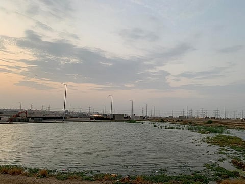 ظهور مستنقع مائي مجدداً يثير مخاوف سكان شمال شرق جدة