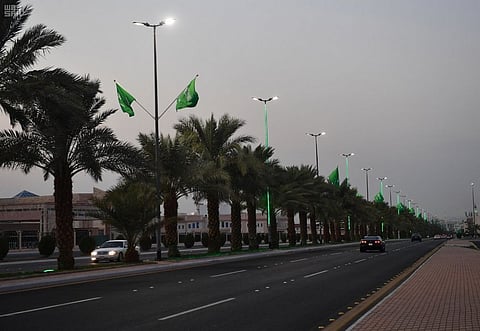 شاهد.. المدينة المنورة تكتسي بالأخضر ابتهاجا باليوم الوطني