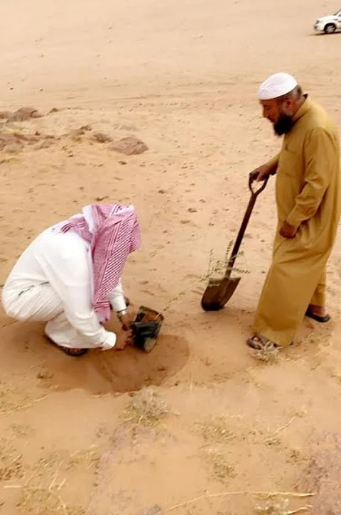 رابطة بيئية تزرع 100 ألف بذرة طلح شرق "الشملي"