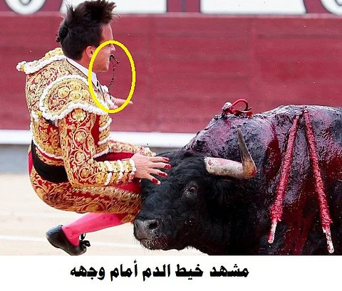 "اندفع الدم حتى وجهه".. شاهد ما فعلته طعنة قرن الثور في المصارع
