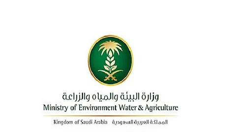 "البيئة" تعلّق استيراد المواشي الحية من السودان وجيبوتي