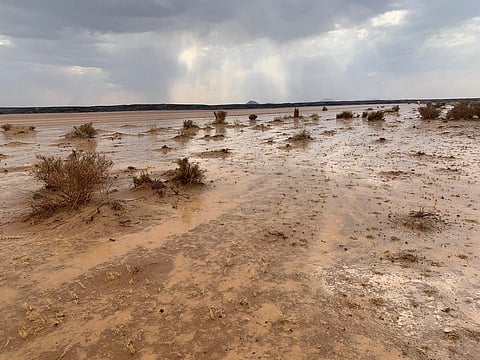 صاعقة رعدية تصرع مواطناً بـ"شملي حائل"