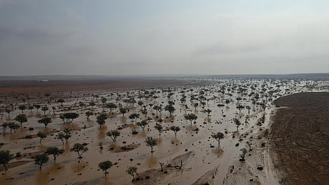 شاهد .. الأمطار تغمر فياض الحسكي وترسم مناظر طبيعية