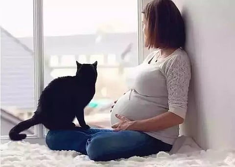 لكل حامل.. احذري من الحيوانات الأليفة