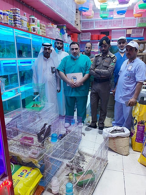 جدة.. لجنة رباعية تقف على سوق الأهدل للطيور وتضبط 13 مخالفة