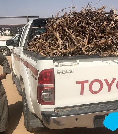 مراقبو "البيئة" يضبطون 3 سيارات مُحَمّلة بالحطب في ضرية