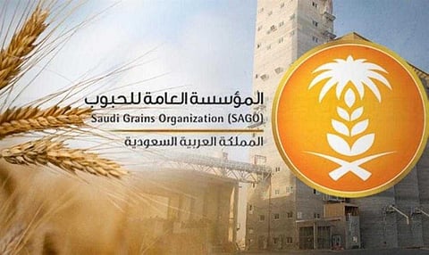 إيداع الدفعة الـ "5" لشراء القمح المحلي من المزارعين