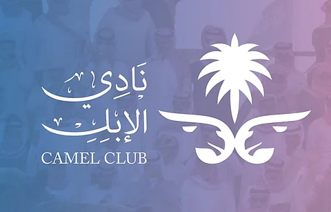 نادي الإبل: هذه شروط مسابقة الهجيج بمهرجان الملك عبدالعزيز