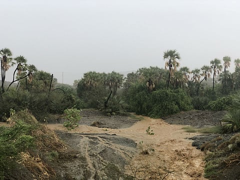 هطولات جازان الغزيرة تعلّق الدراسة في مدارس صبيا وبيش