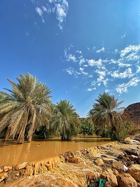 خرير يهز النخيل ويعيد الذكريات .. لوحات جمالية من "وادي العيبة" تأسر القلوب