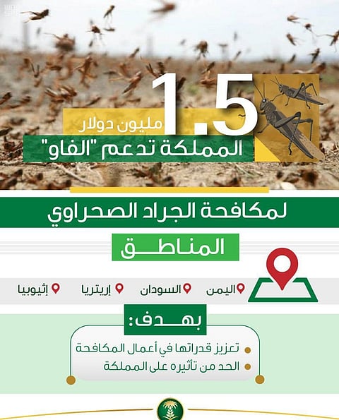 المملكة تدعم "الفاو" بـ 1.5 مليون دولار لمكافحة الجراد الصحراوي