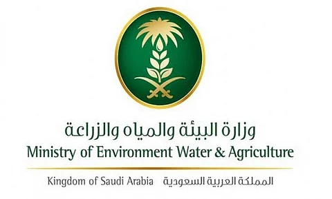 دعوة ملاك مناحل الباحة للابتعاد عن أمكان أسراب الجراد