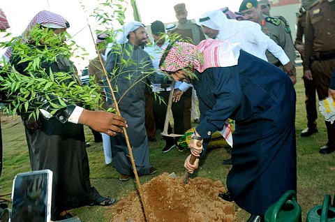 "الجاسر" يدشّن مبادرة "زيتون وسدر القريات" بزراعة أشجار لشهداء الوطن
