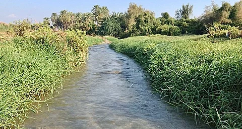 فيديو من "وادي قنونا".. مياه جارية وخضرة ومناظر خلابة تجذب المتنزهين
