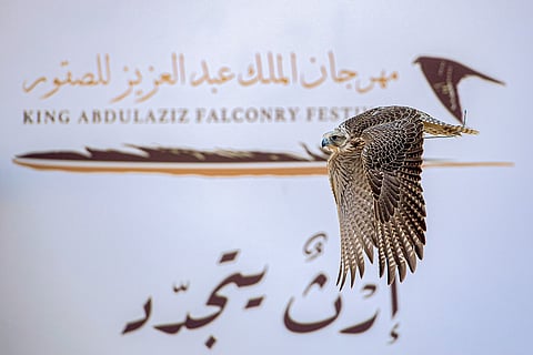 بالصور .. بين الانطلاق والملواح "الصقور" تسابق الزمن في بطولة الملك عبدالعزيز