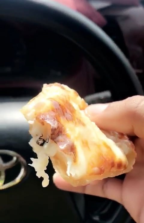 شاهد.. مواطن يرصد "ذباب" مع الأكل بمطعم شهير بالقوز