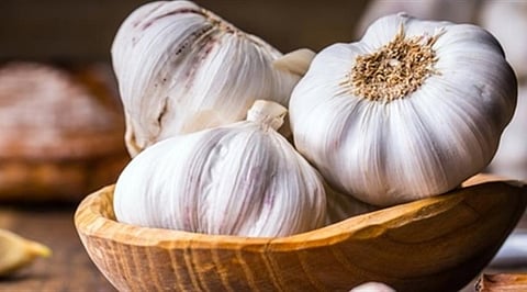 علماء روس: الثوم سلاح قوي ضد أمراض الأوعية الدموية
