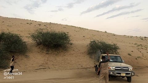 قبل بلوغه المرحلة الثالثة.. "زراعة القنفذة" تكثّف جهودها لمكافحة جراد "الدبا"