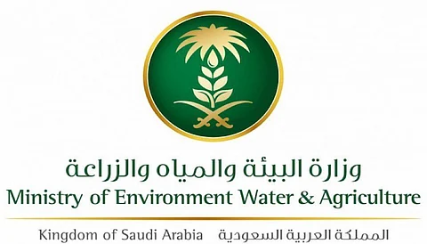 "البيئة" تستكمل إجراءات تصدير التمور السعودية إلى أستراليا