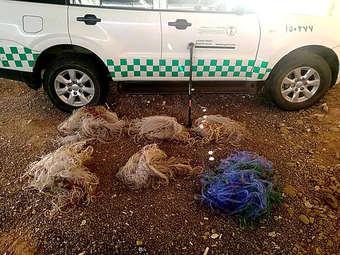 "البيئة" تضبط 5 مواطنين لمخالفتهم نظام الصيد بجدة و"رابغ"