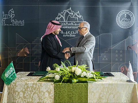 "عبية".. أشهر خيول آخر الفرسان "الملك عبدالعزيز" تعود للدرعية