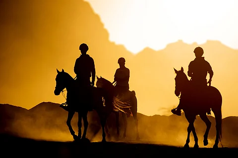 وقع حوافر الخيل في العلا.. يعيد التاريخ من جديد