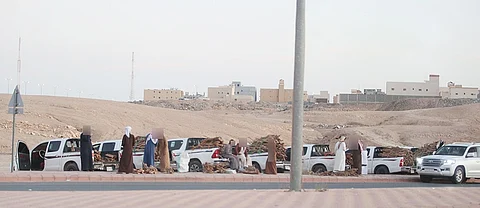 الخرج.. باعة الحطب المحلي في ازدياد و"الزراعة": نعمل وفق الإمكانات المتاحة