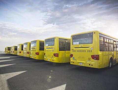 تَضَمّنتها لائحة النقل.. 7 اشتراطات لقبول سائقي الحافلات التعليمية