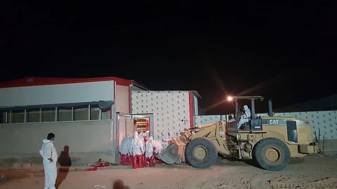 "البيئة" تسجّل إصابة بإنفلونزا الطيور وتؤكد: ليست خطراً على الصحة العامة